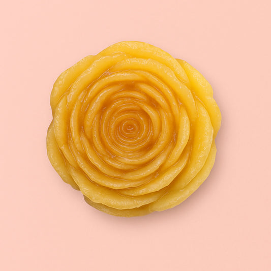 Pivoine Comestible Ambrée