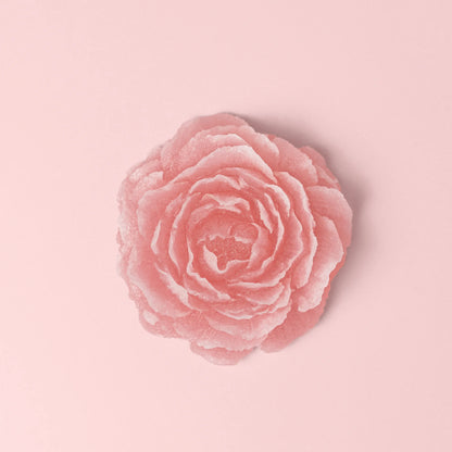 Collection Enchantée